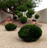 landscaping work that is done the right way by our contractors